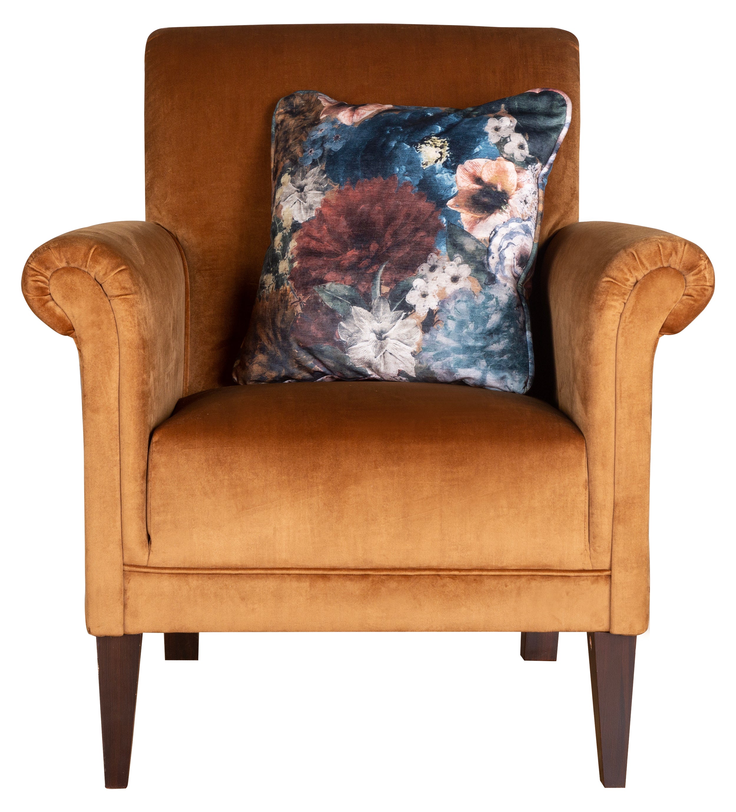 Accent Arm Chair with Scatter Cushion